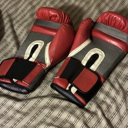 Boxing Gloves Elite