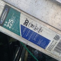 Werner Ladder 225 Pds 