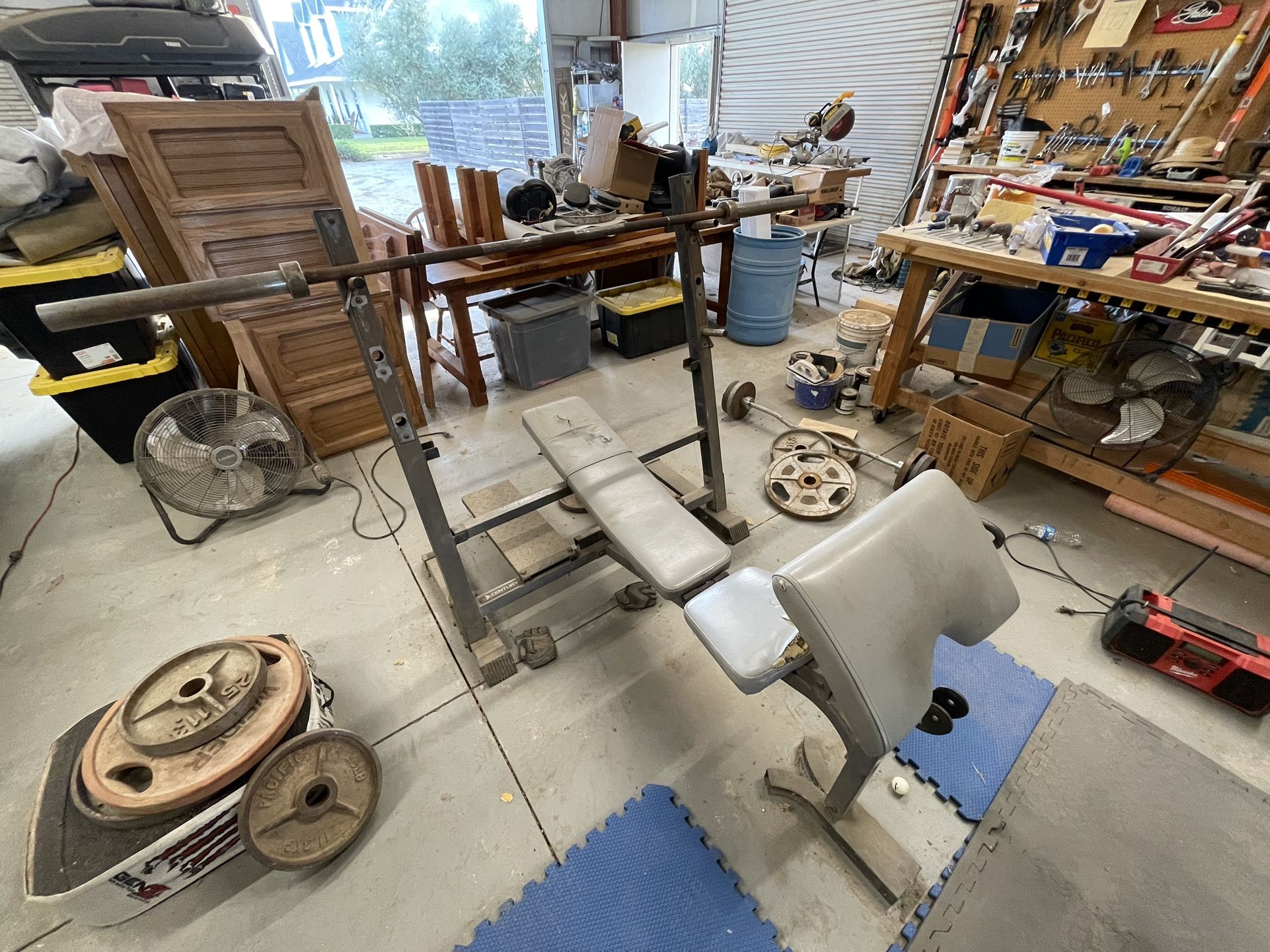 Bench Press & Preacher Curl + Olympic Bar + Olympic Curl Bar