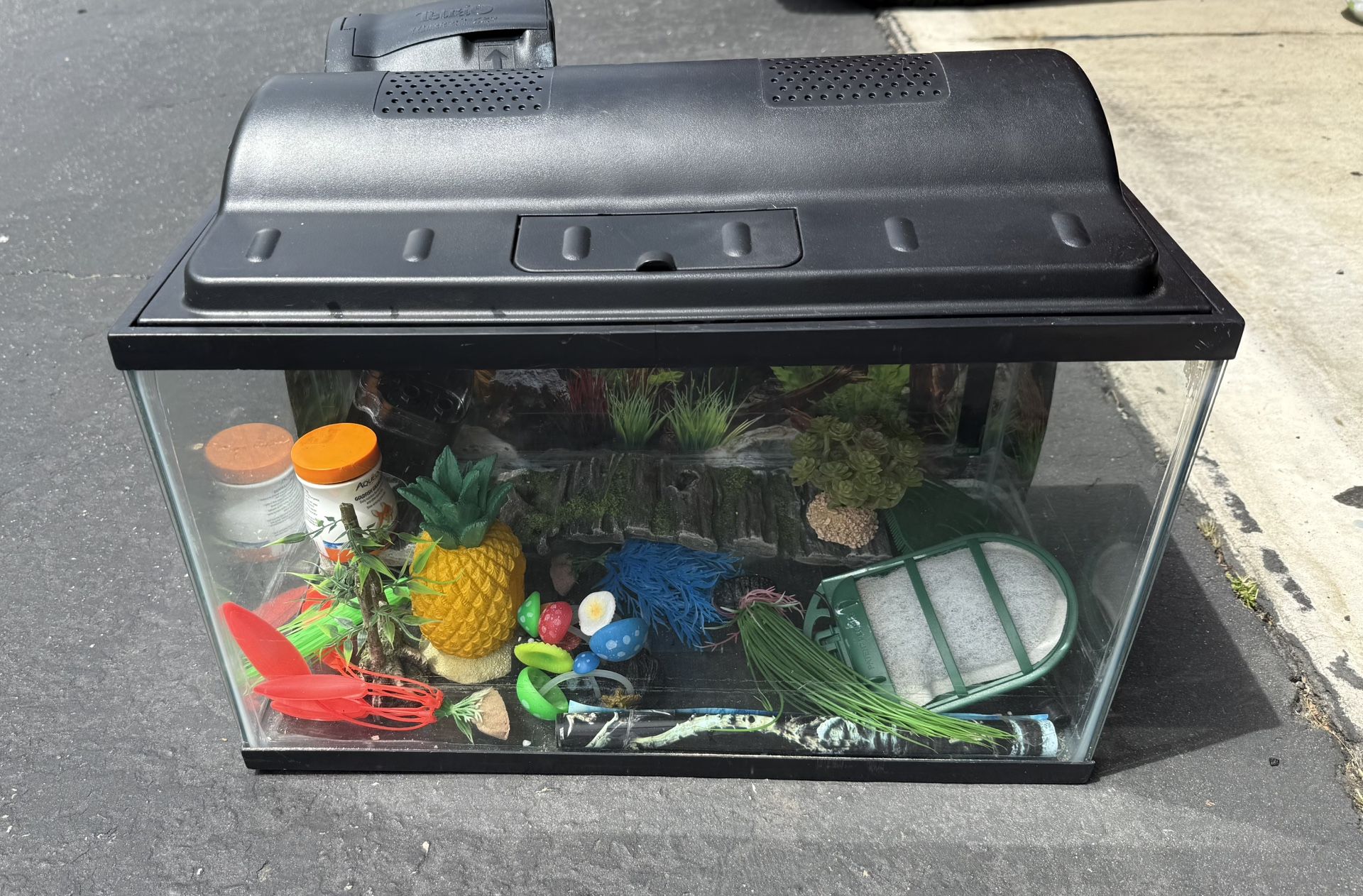 Fish Tank