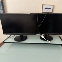 Two Computer Monitors, 22”