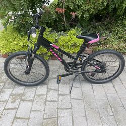 Girls 20” Trek Precaliber Mountain Bike For Sale