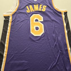 NBA Lakers purple jersey James 6#