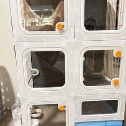 Kitty Kennel 