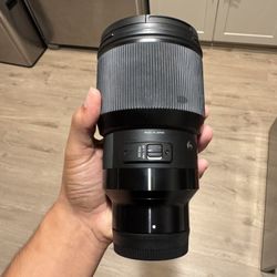 Sigma 85mm 1.4 Sony E Mount 