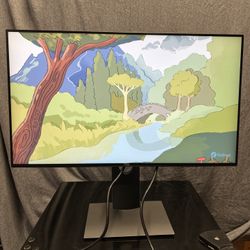 Dell U2419HX 24 in 1080p Monitor