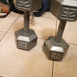 Two 25lbs Dumbbells 
