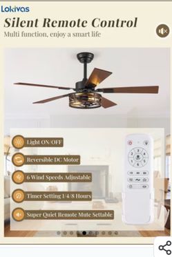 Lokivas Ceiling Fan with Light and Remote