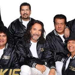 Los Bukis