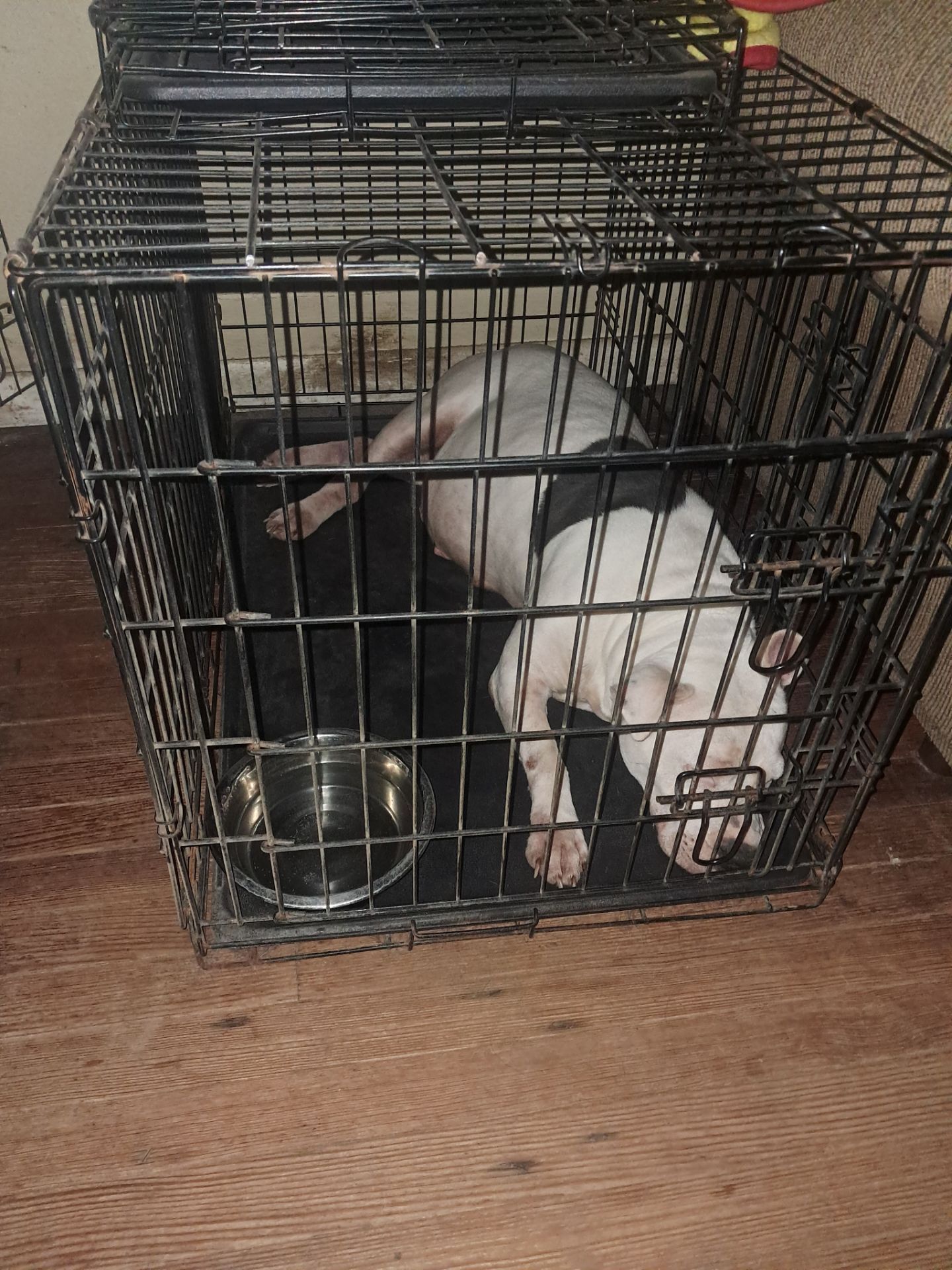 Large Dog Cage -Double Door