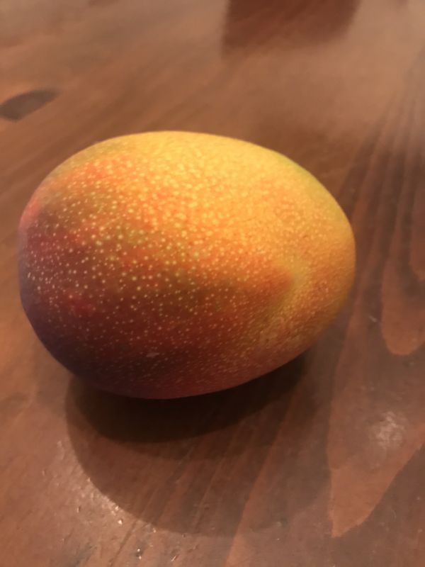 Mangoes for Sale in Miami, FL OfferUp