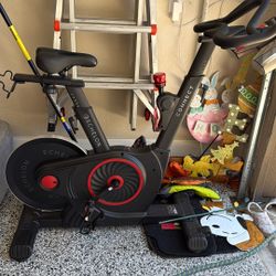 Like New Echelon Bike