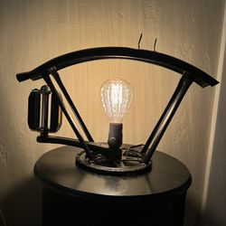 Custom Bicycle Fender Lamp $175.00 FIRM