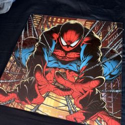Spiderman glass picture 
