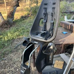 Thule Yepp Kids Bike Seat