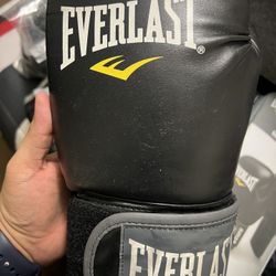 EVERLAST MMA Pro Style Muay Thai Gloves 