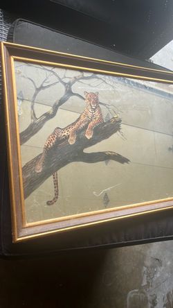 Cheetah Mirror