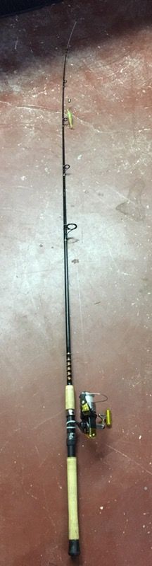 Captiva Penn Fishing Rod & Reel