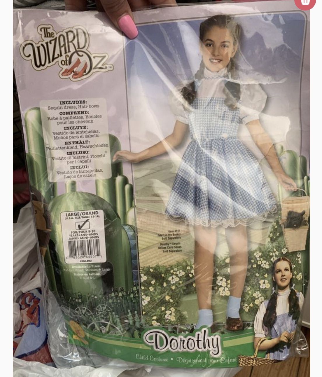 Dorothy Costume! Halloween is almost here!