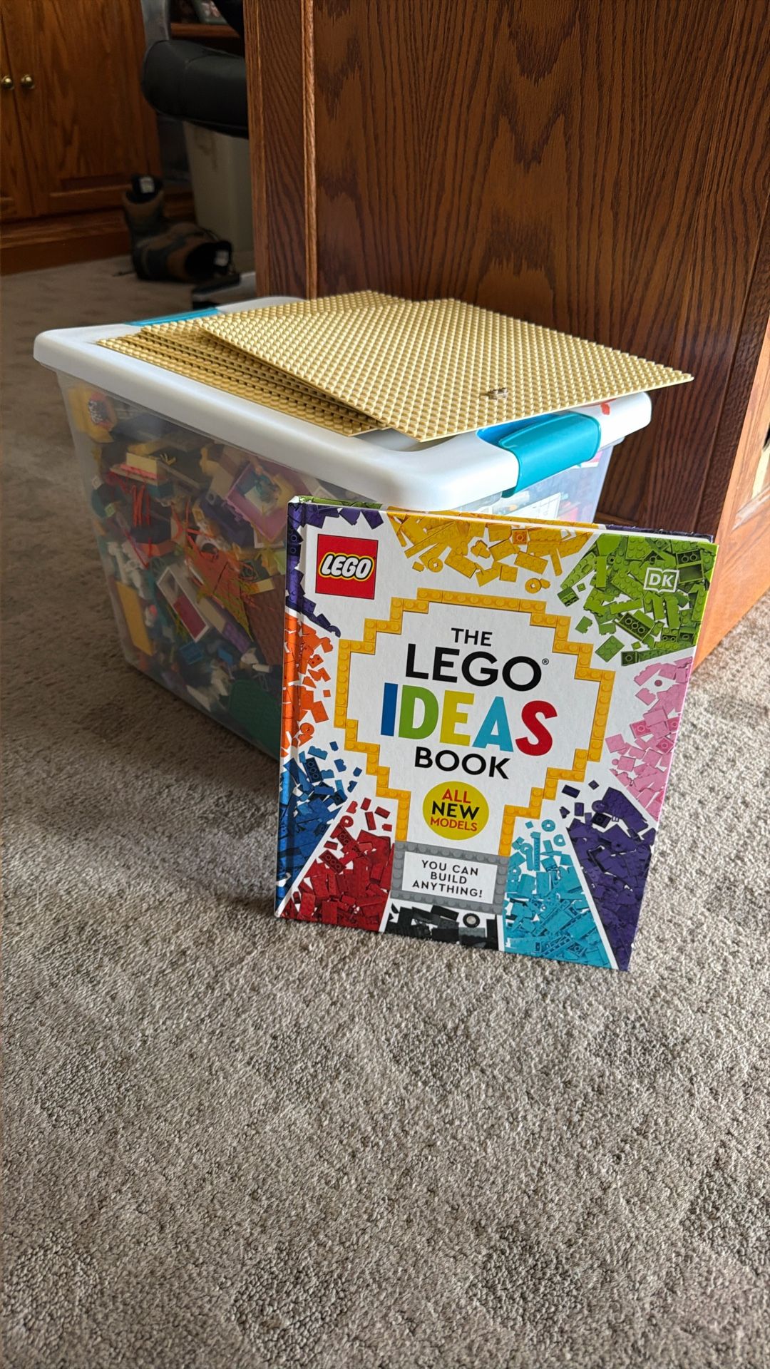 Bin Full Of Legos