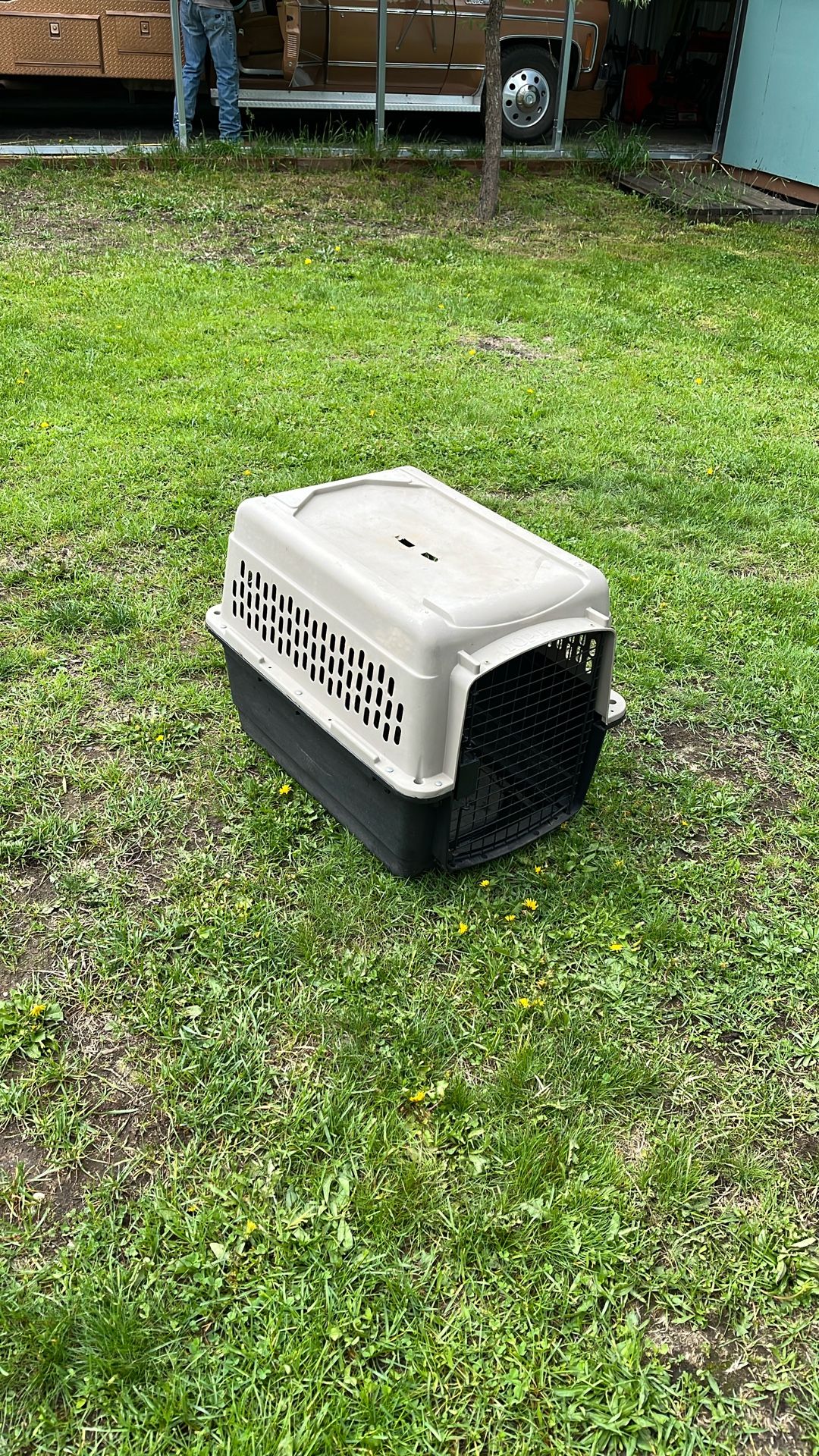 Pet Carrier