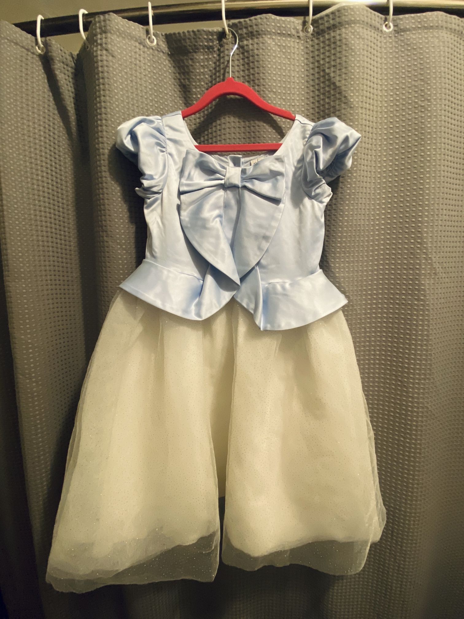 Disney Princess Dresses
