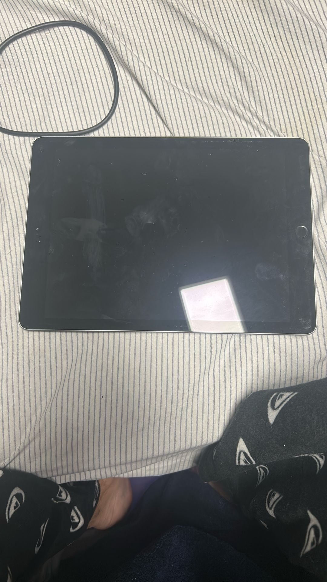 Apple iPad