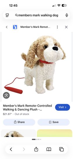 Members Mark Walking Dog