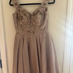 Prom /homecoming/quince Dresses