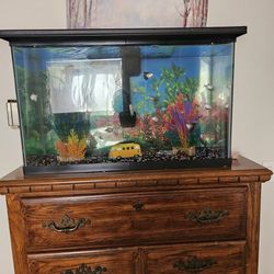 30 Gallons Fish Tank With everything