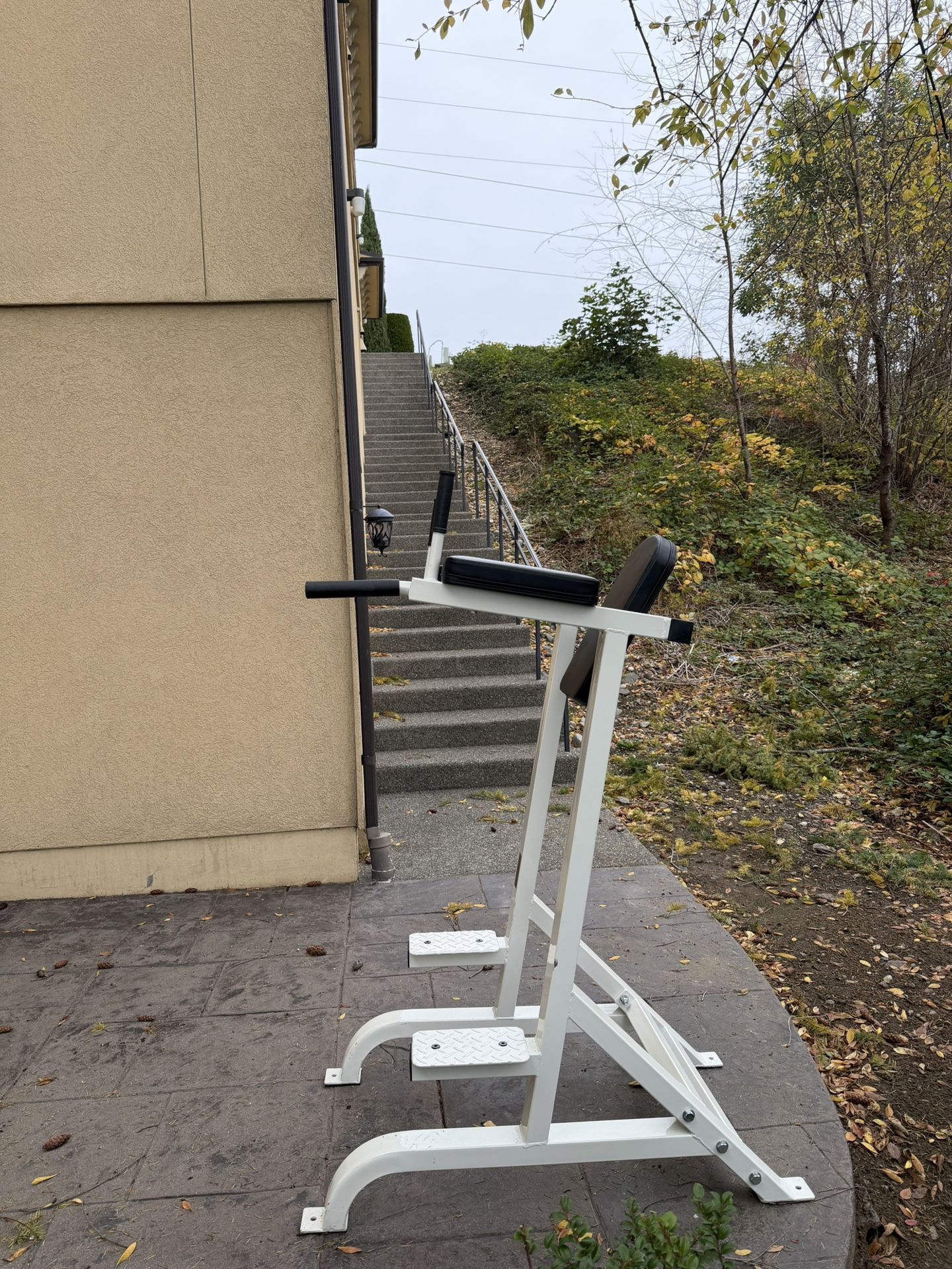 Dip/Hanging Leg Raise Stand