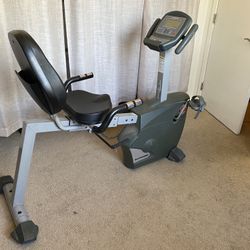 Schwinn srb 1800 for sale sales