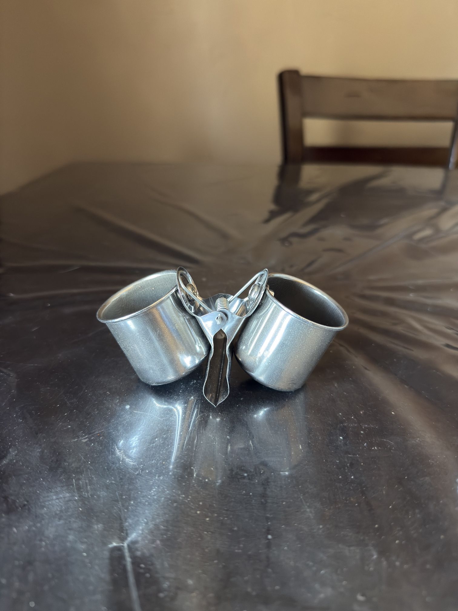 Bird Food And Water bowl