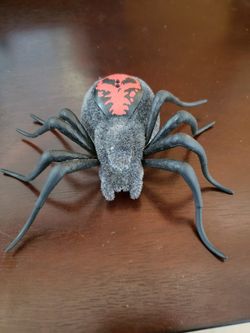 Wild Pets Spider - Chiller