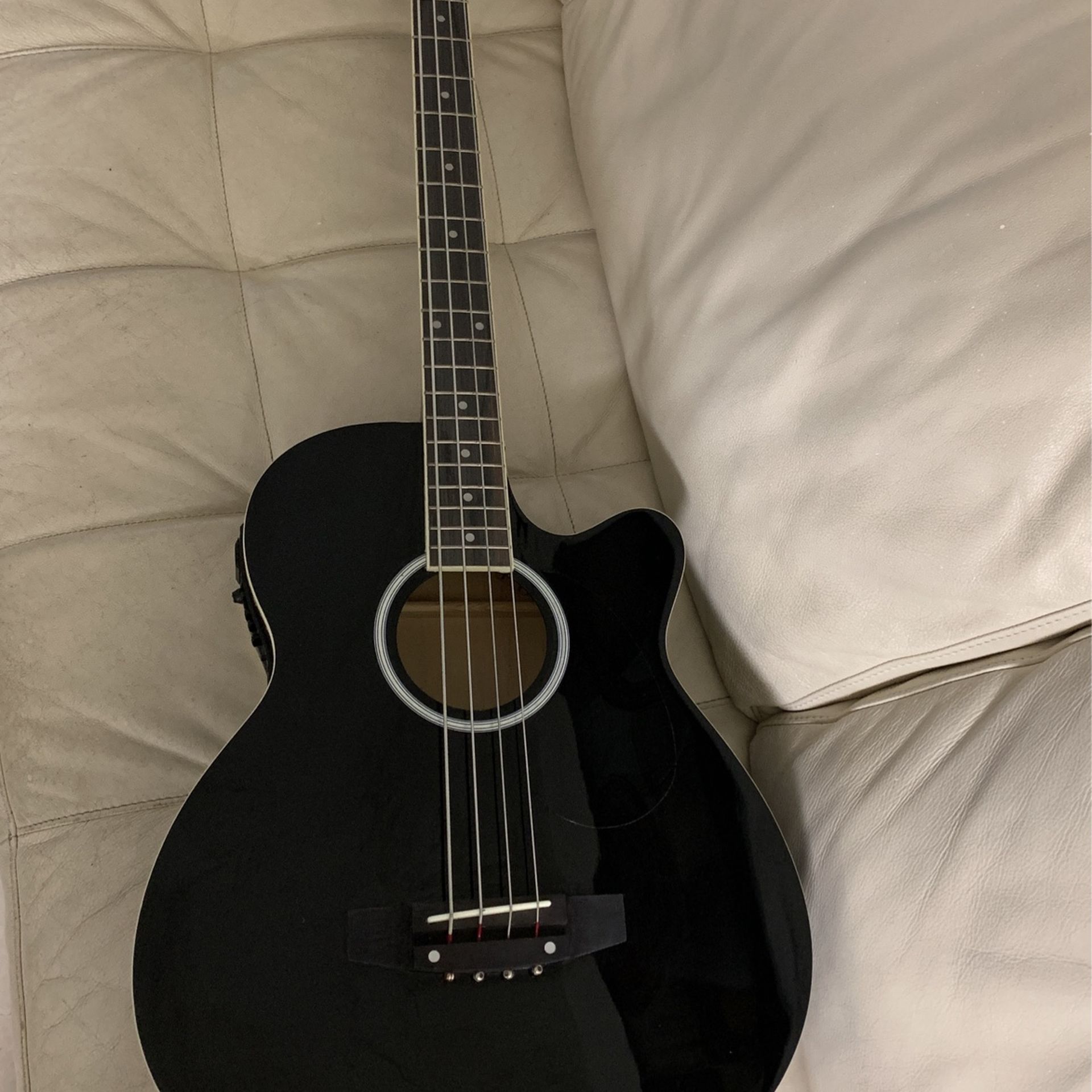 Acoustic/Electric Bass