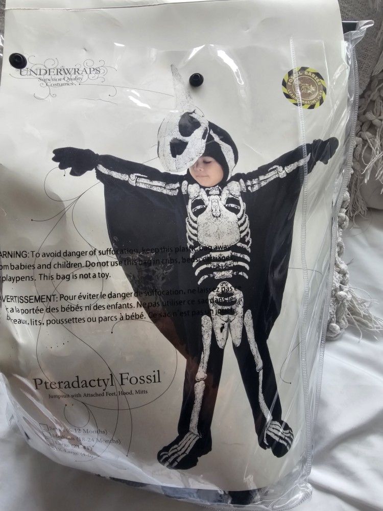 Pterodactyl Fossil Used Once. Size 4-6