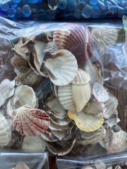 Sea shells, rocks, and Sand for a Mermaid Party