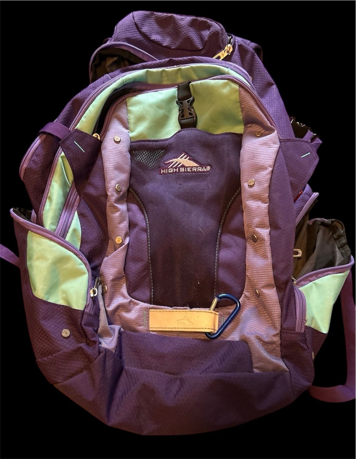 High Sierra Back Pack