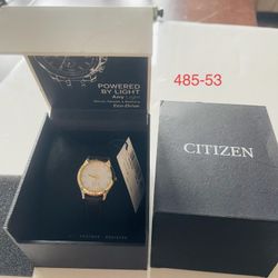 Citizen Classic Stainless Steel Ladies Eco-Drive Watch EM1018-24A