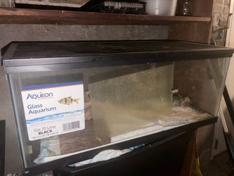 Fish tank size 20