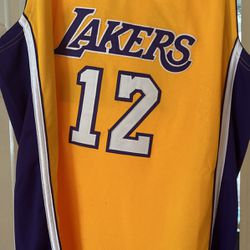 Shannon Brown Lakers NBA Finals Jersey