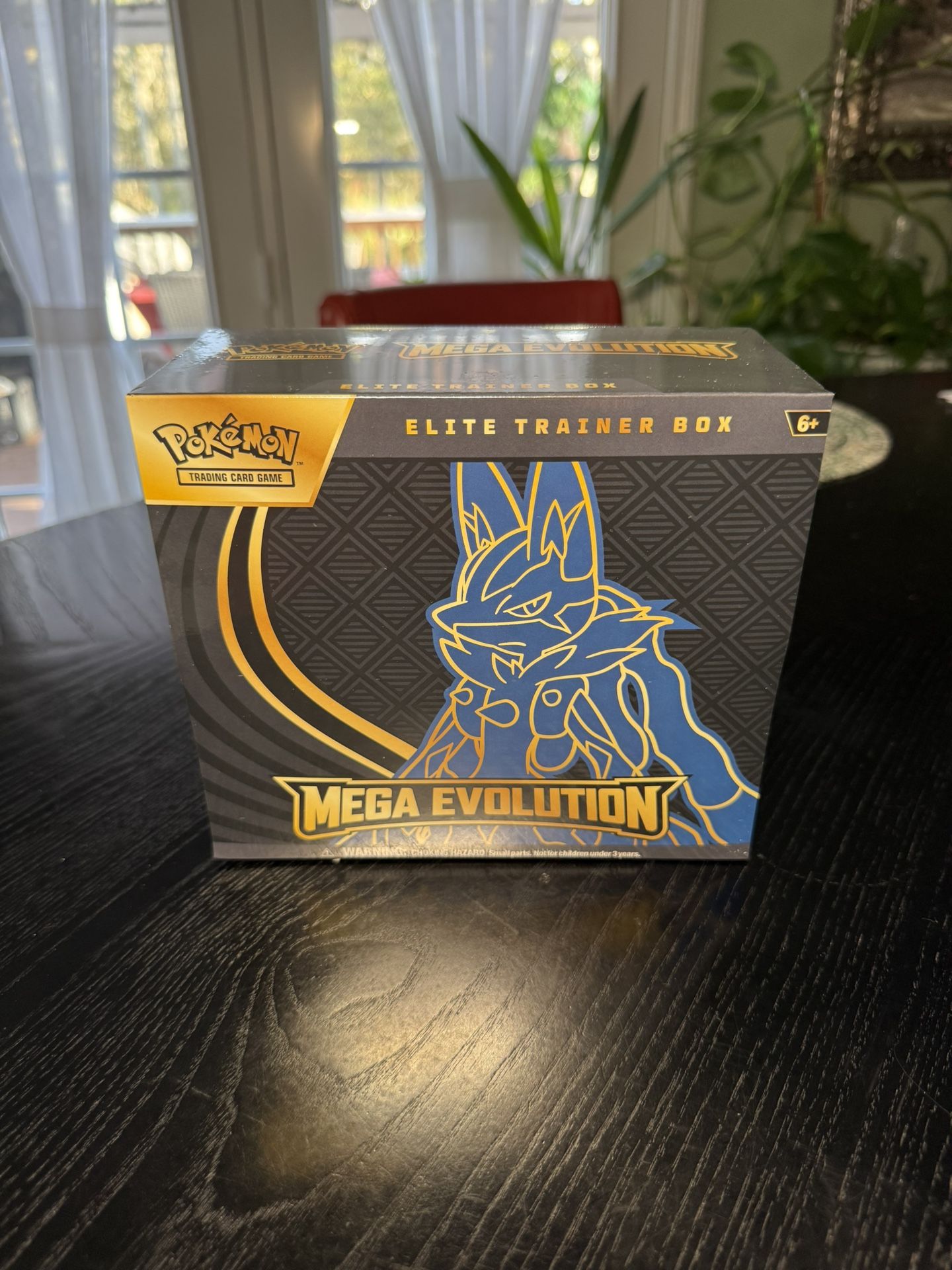 Mega Evolution ETB