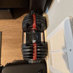 Bowflex SelectTech 552 Adjustable Dumbbell Set – Up to 52.5 lbs Each