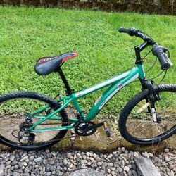 Diamondback bike 24"