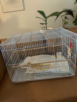 Bird cage