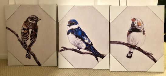 Bird Trio Pictures, set of 3
