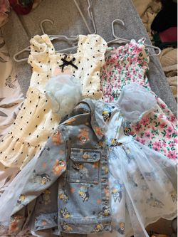Girl Dresses :Size 2T