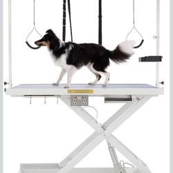 Pet Grooming Table - Dog Grooming / Cat Grooming (2)