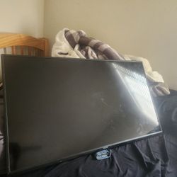 Vizio Flat Screen