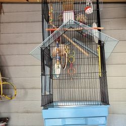 Bird Cage